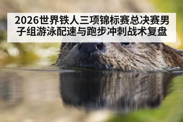 2026世界铁人三项锦标赛总决赛男子组游泳配速与跑步冲刺战术复盘
